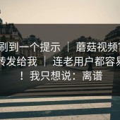 昨晚刷到一个提示 ｜ 蘑菇视频官网｜朋友转发给我 ｜ 连老用户都容易中招！我只想说：离谱