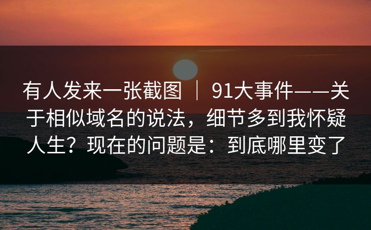 有人发来一张截图 ｜ 91大事件——关于相似域名的说法，细节多到我怀疑人生？现在的问题是：到底哪里变了